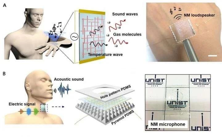Scientists Develop Transparent Wearable 