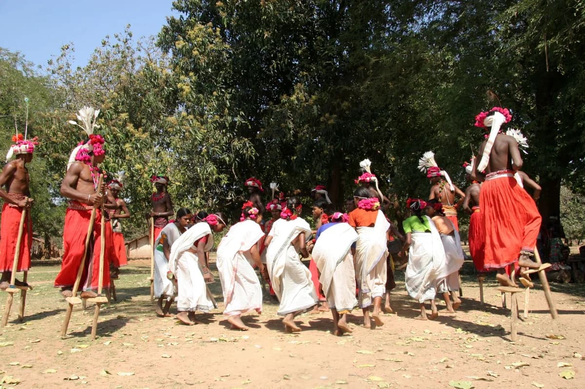 Muria Tribe And Their Celebration Of Pre