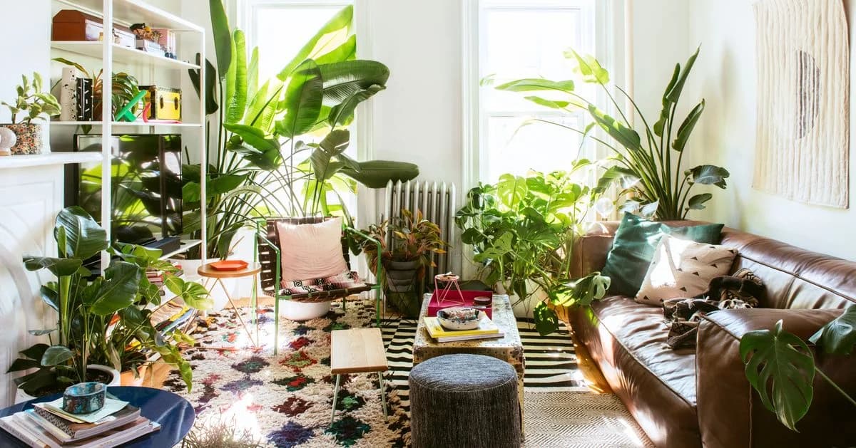 Plants Are Your Best Buds At Home And At
