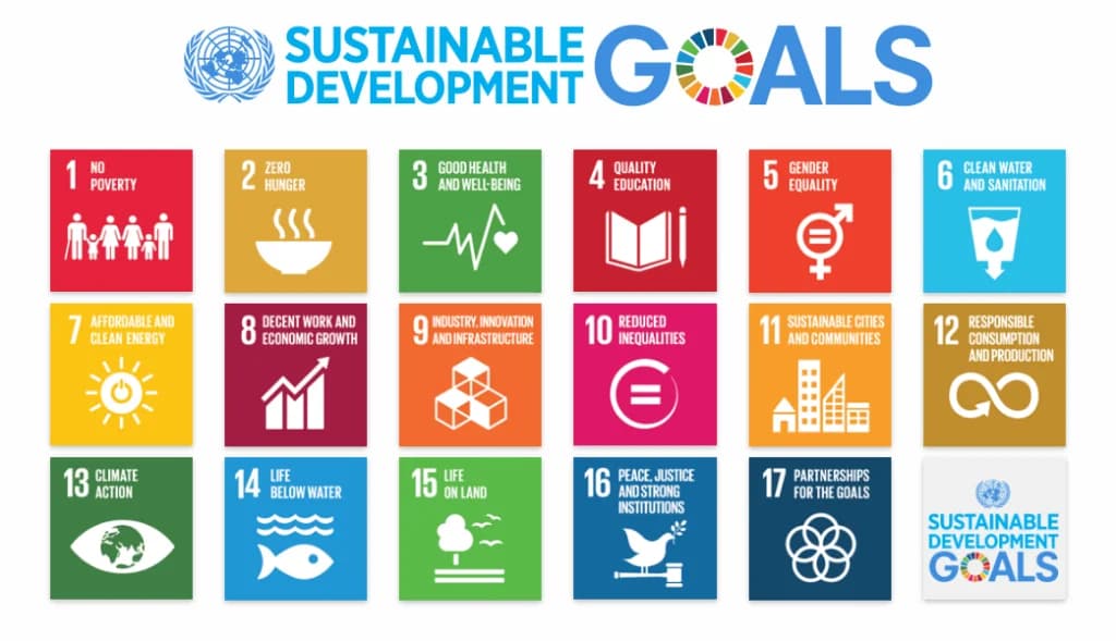 India's SDG