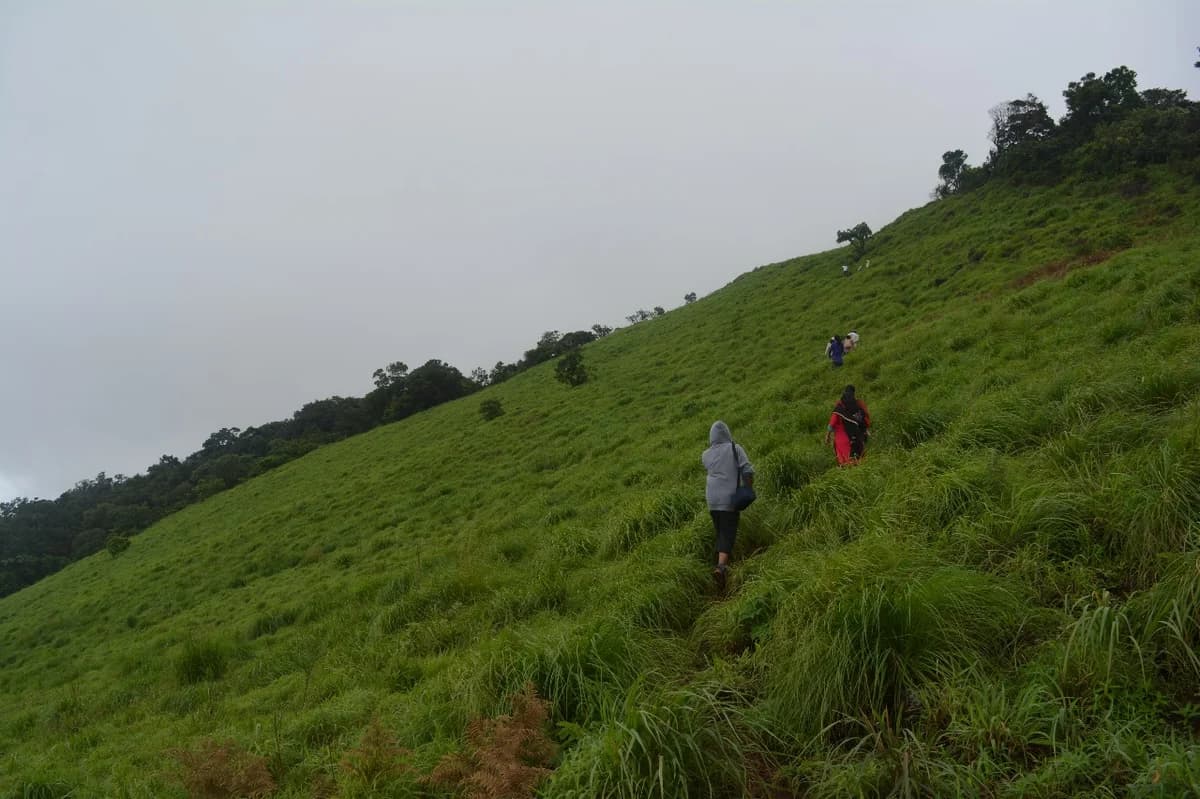 Monsoon Trekking: How to Ensure Safety D