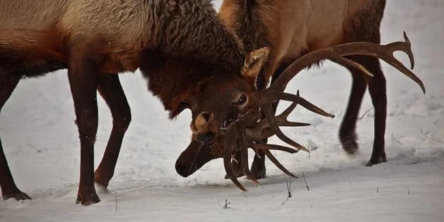 Here’s the Playbook for a Fair Fight