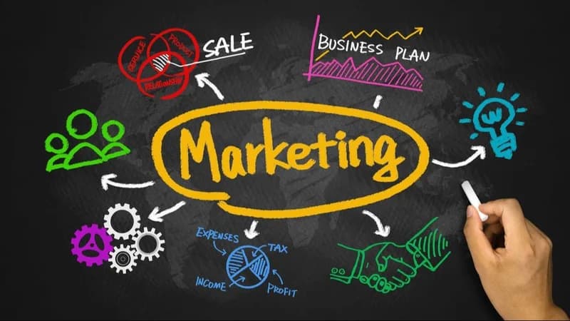 Career In Marketing – How College 