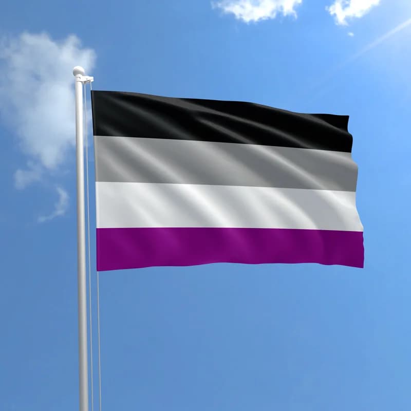 Reflecting on Asexuality in India This International Asexuality Day