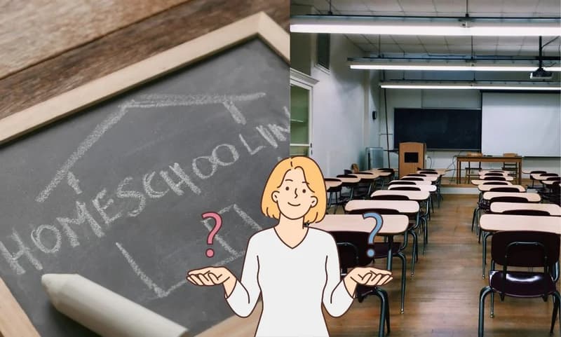 Homeschooling vs Traditional Schooling: 