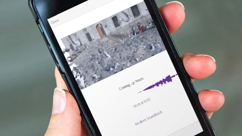 Apps Every Student Should Have In Their 
