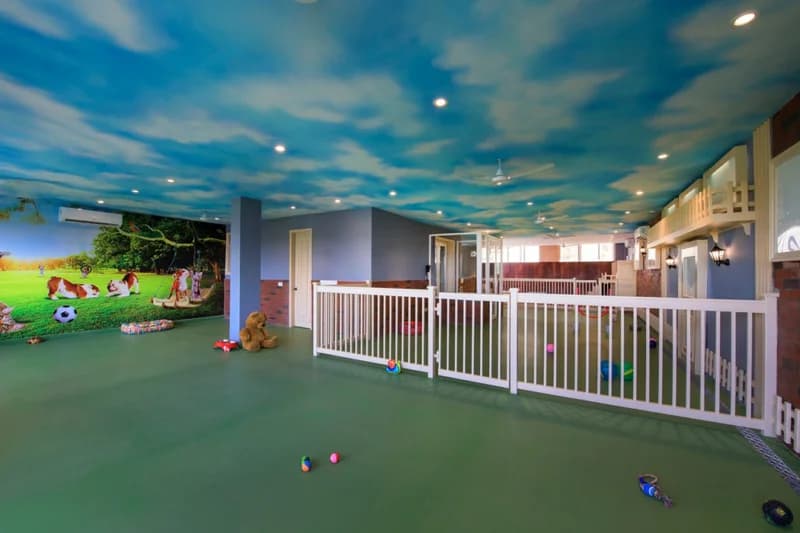 India Gets Its First Luxury Dog Hotel