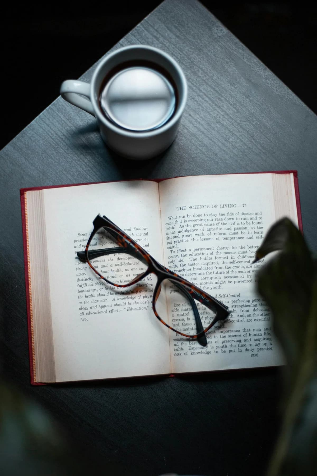 How Philosophy Improves Academic Thinking and the Career Paths It Opens