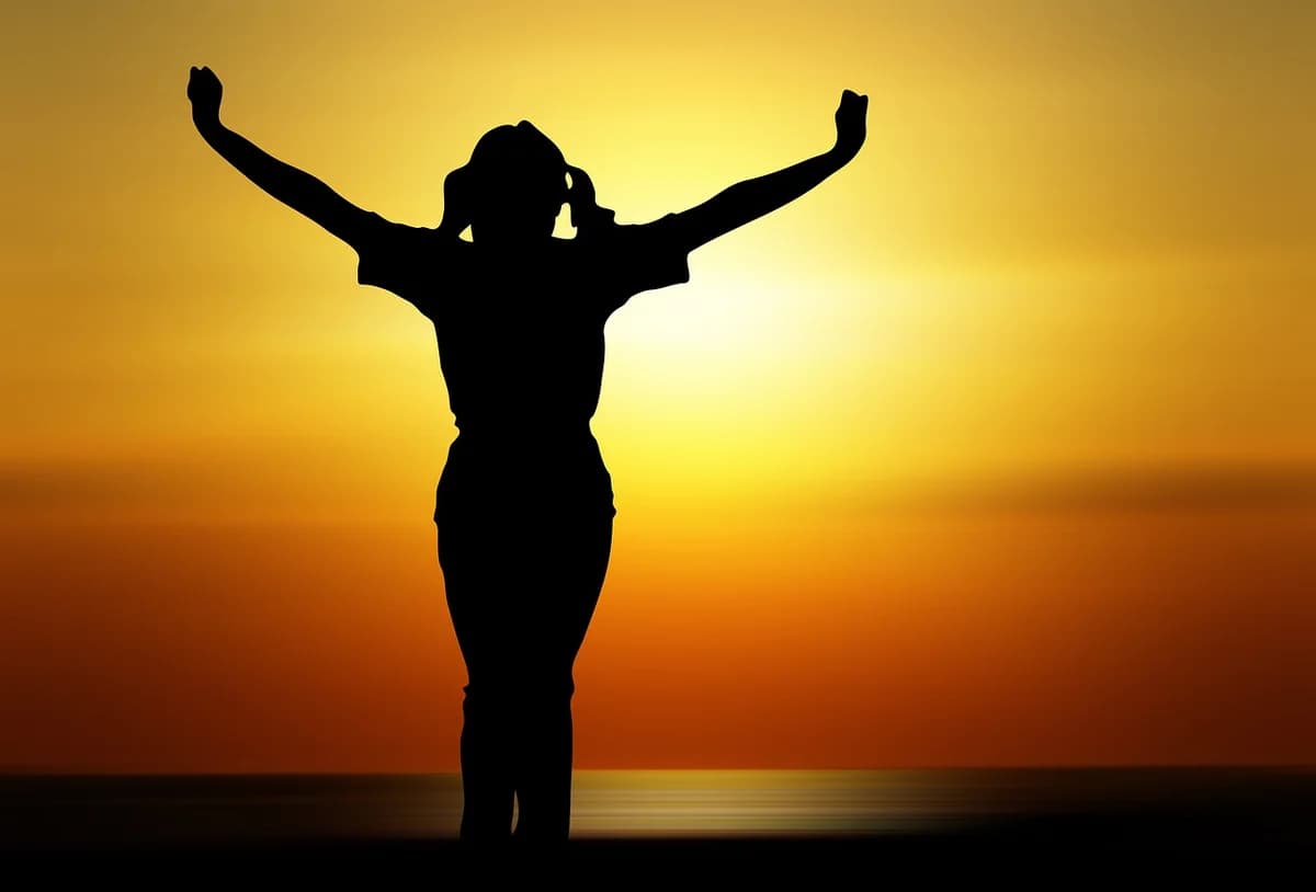 Searching For The Happy High?