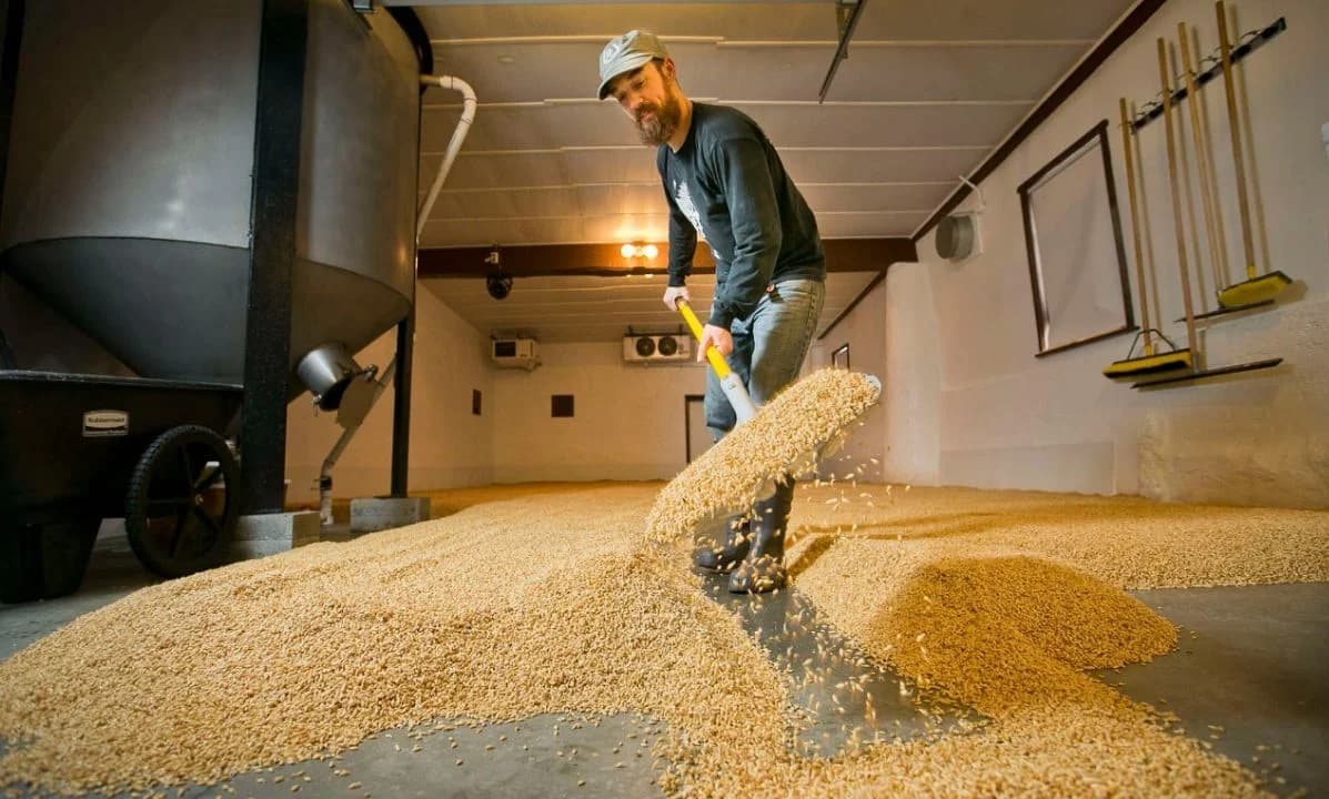 Brewing & Distilling: A Career Opti