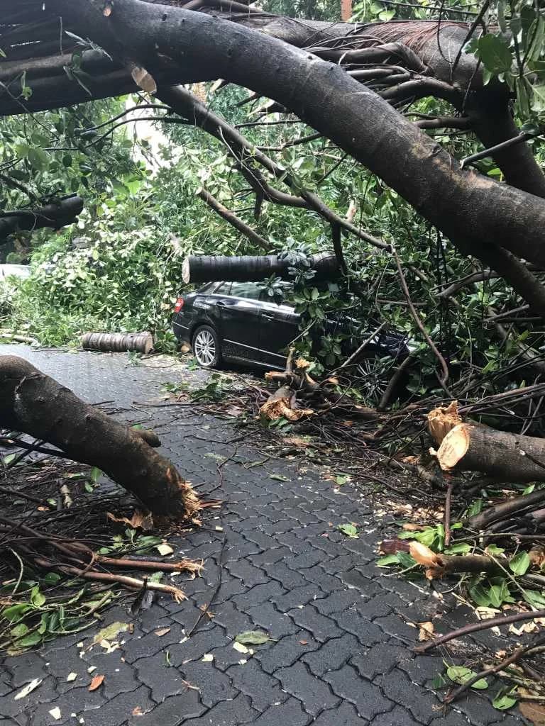 An Open letter to the Brihanmumbai Munic