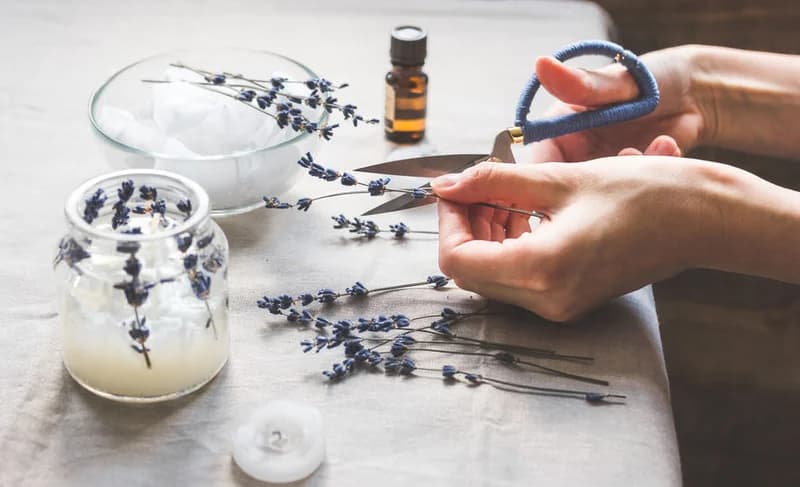 Utilize The Quarantine Period With Some 