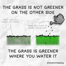Is the Grass Greener on the other side?