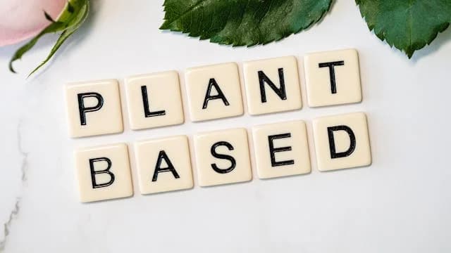 How to Transition to a Plant-Based Lifestyle