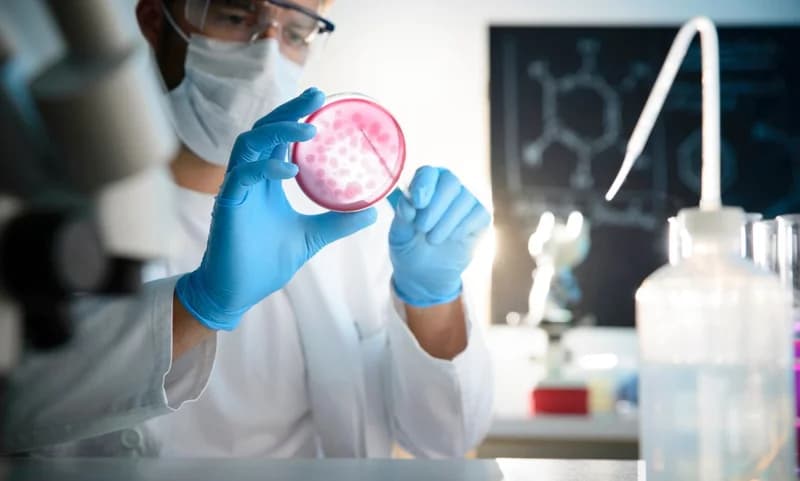 Bachelor Of Science In Microbiology: Top