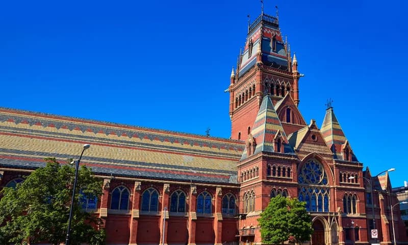 What Are Ivy League Colleges? All You Ne