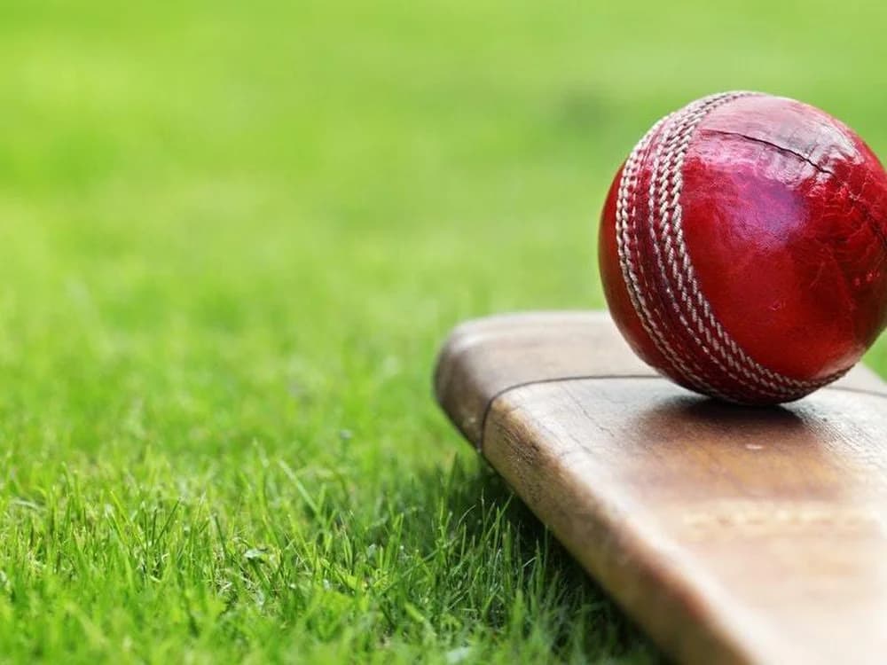 Cricket and Youth: Why Young People Find