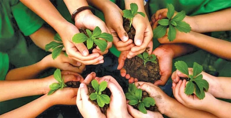 Van Mahotsav: India’s Annual ‘Tree Festi