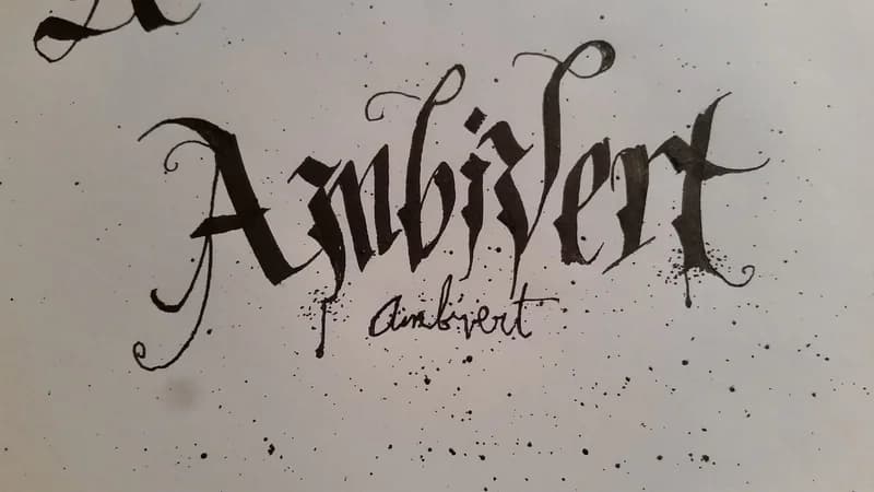 Signs That You Might Be An Ambivert
