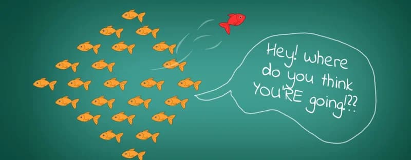 5 Essential Qualities Entrepreneurship D