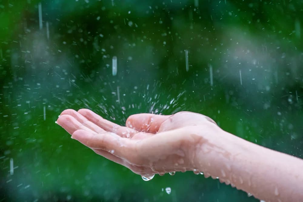 Keeping Monsoon Illnesses At Bay: Tips