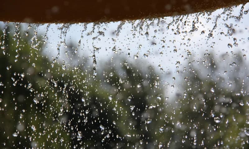 Your Ultimate Style Guide for The Monsoo