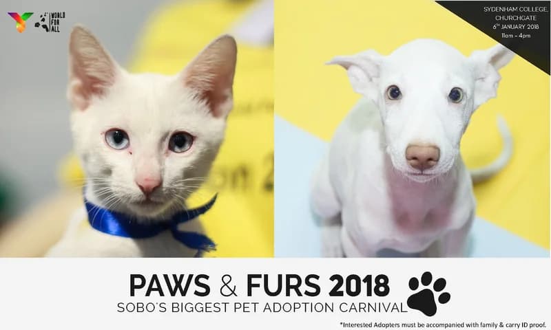 Compass of Compassion