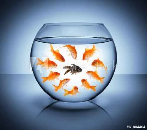 The Problems of Colour