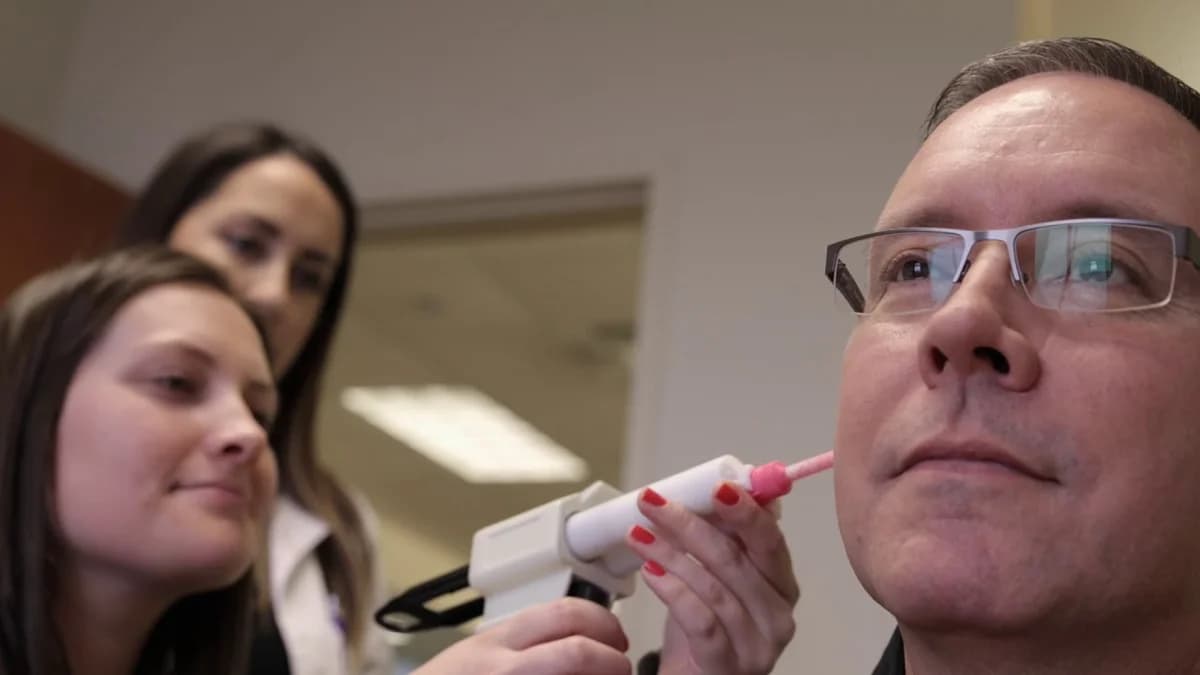 Hear, Hear! All You Need To Know About A