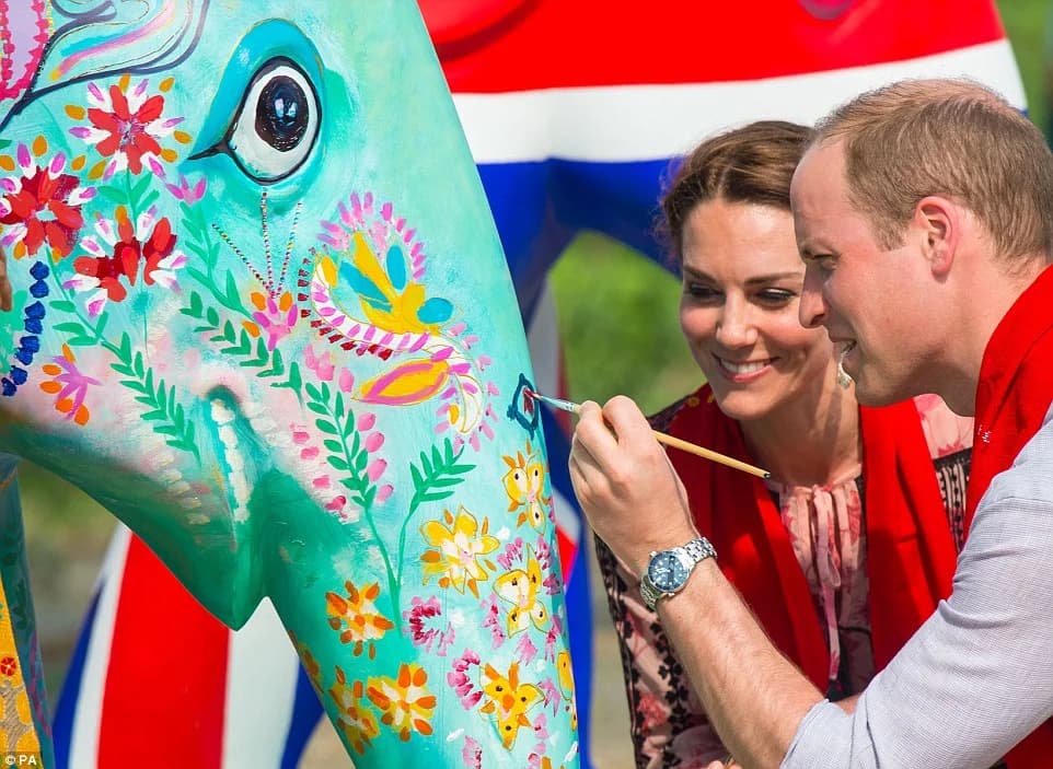 NGO protecting Asian Elephants and their