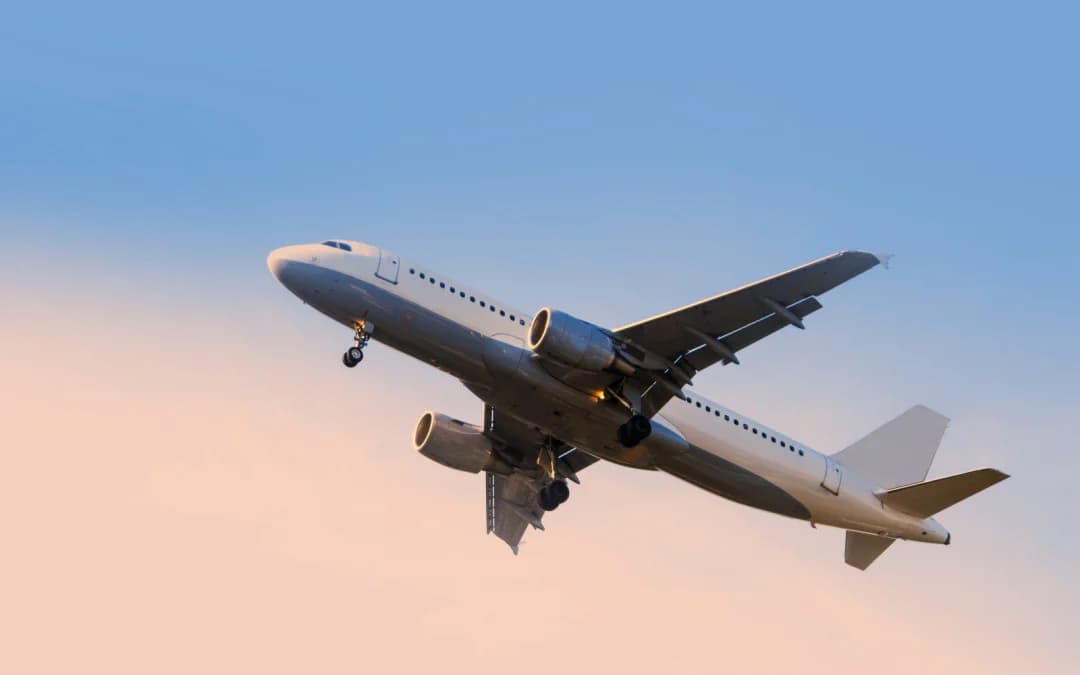Plane carrying football players from Bra