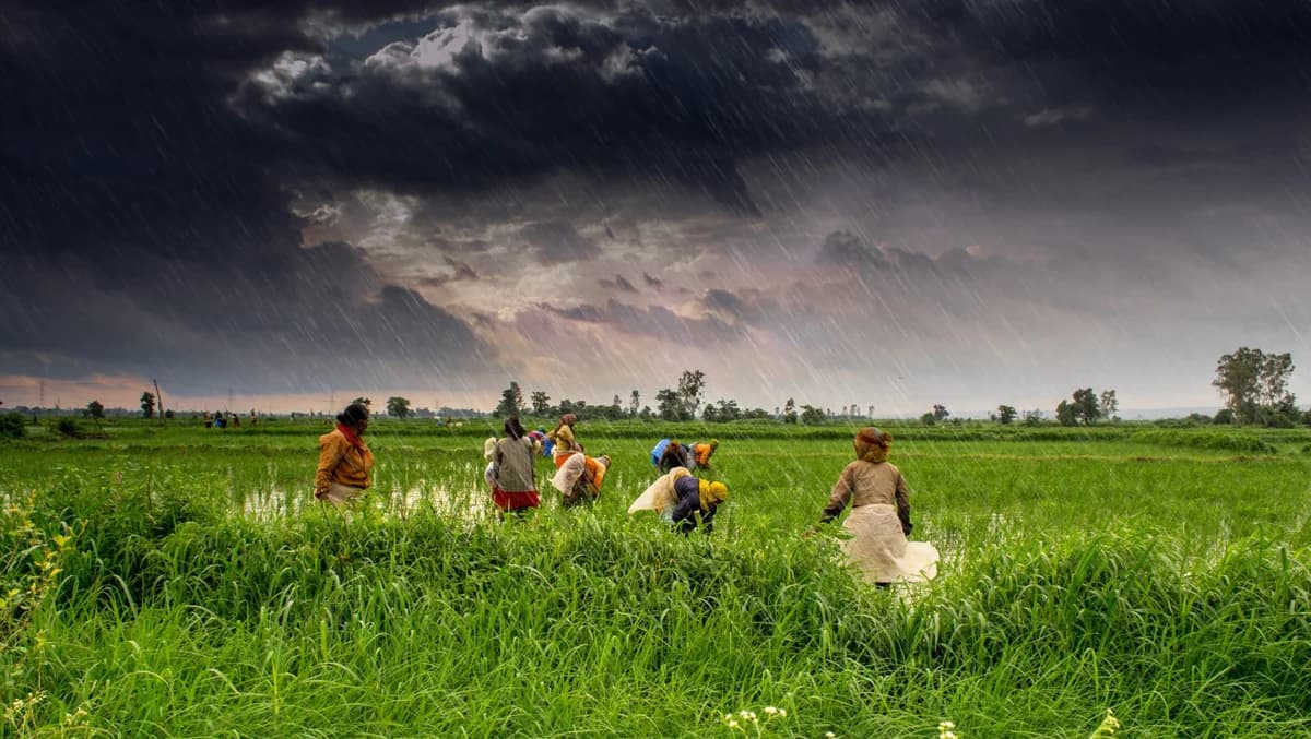 Monsoon and Agriculture: Lifeline or Bur