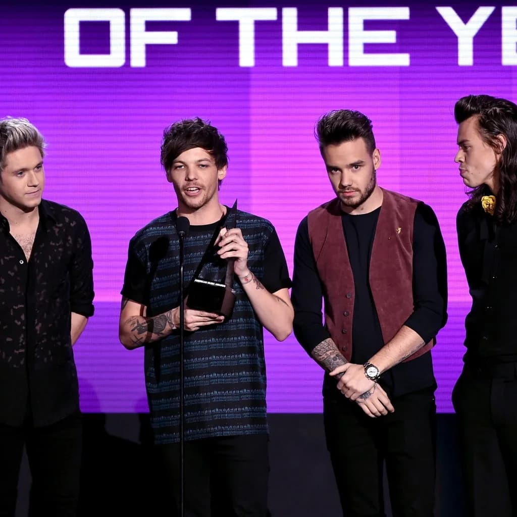 1D Bags Best Artist Award at AMAs