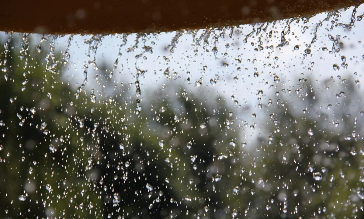 Your Ultimate Style Guide for The Monsoo